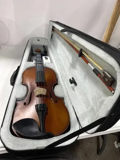 FESLEY DELUXE EDITION 4/4 VIOLIN