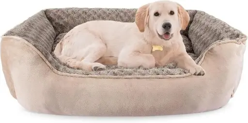 DOG BED, ORTHOPEDIC, 20X19X6