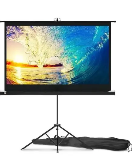 Projector Screen with Stand 60 inch